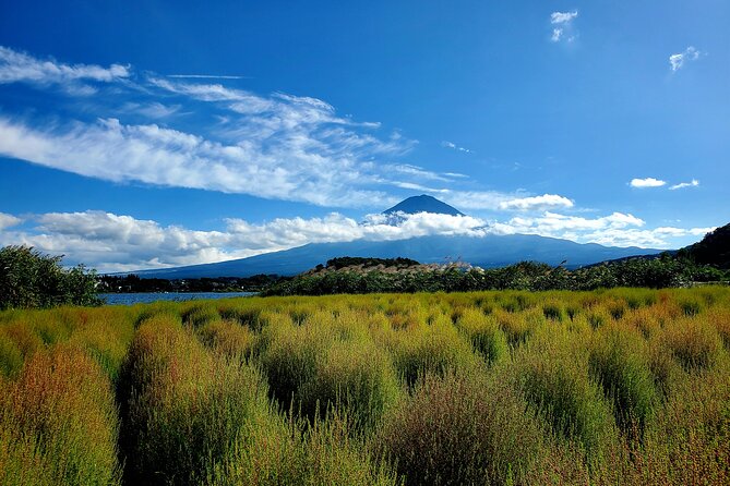 Guided Yokohama Port to Mt. Fuji Private Tour GREEN NUMBER PLATES - Inclusions