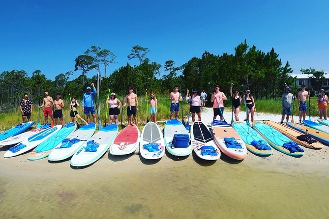 Gulf Shores Stand up Paddle Boarding Lesson and Tour - Wildlife and Nature