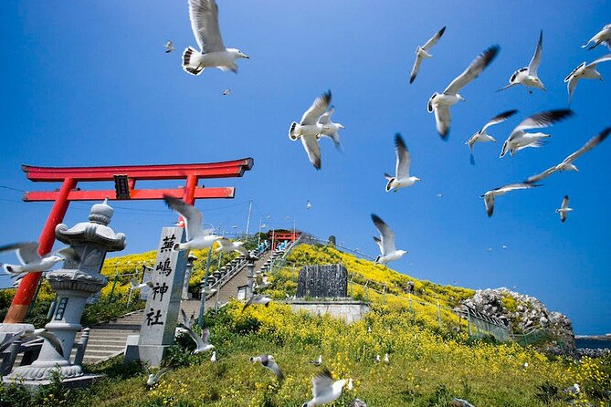 Hachinohe Half-Day Private Trip With Government-Licensed Guide - Transportation Details