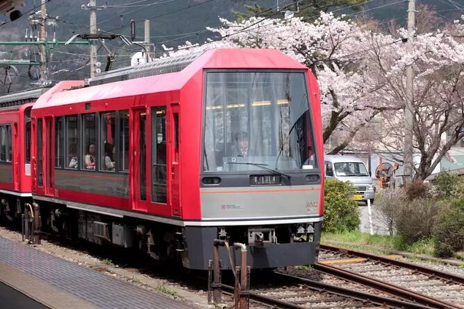 Hakone FreePass, 2-3 Days Japan - Inclusions