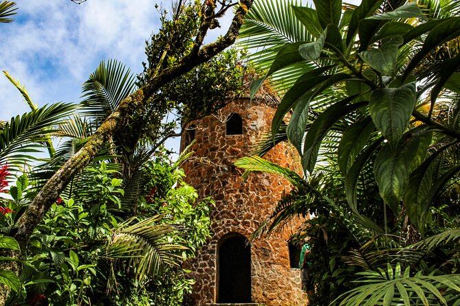 Half Day Adventure Private Tour in El Yunque Rainforest - Pickup and Start Time