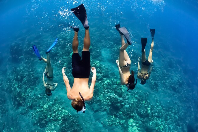 Half-Day Deluxe Molokini Snorkel Excursion in Maui - Meeting and Pickup