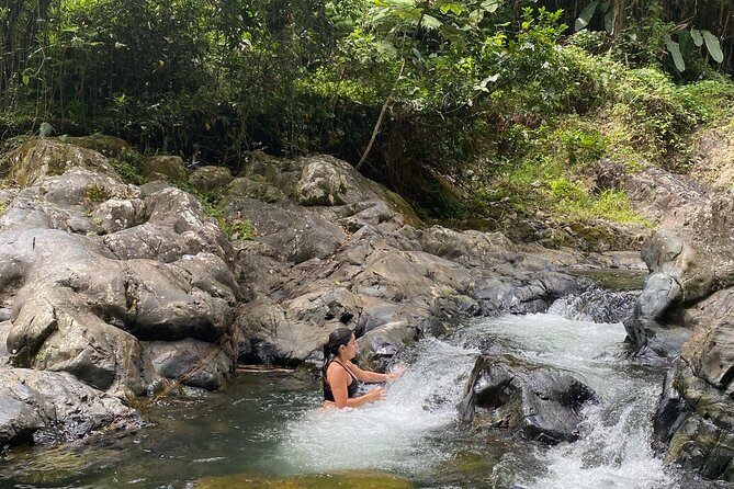 Half-Day El Yunque Rainforest Tour From Fajardo - Health and Accessibility