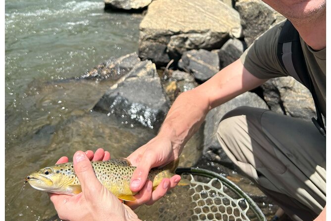 Half Day Fly Fishing Lesson on Clear Creek Near Denver - Included Gear and Supplies