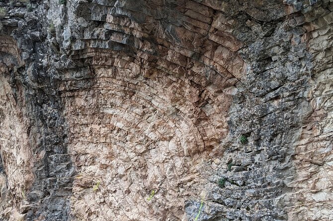 Half-Day Guided Hiking in Spoleto - Meeting and Departure Point