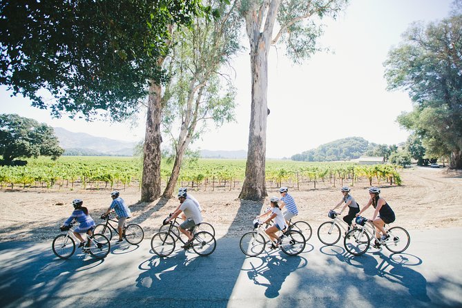 Half-Day Napa Valley E-Bike Tour - Meeting Point and Logistics
