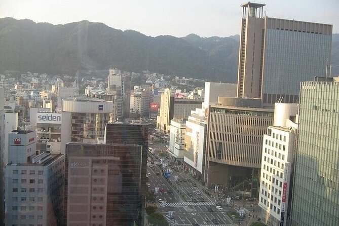 Half-Day Private Guided City Tour of Kobe - Inclusions