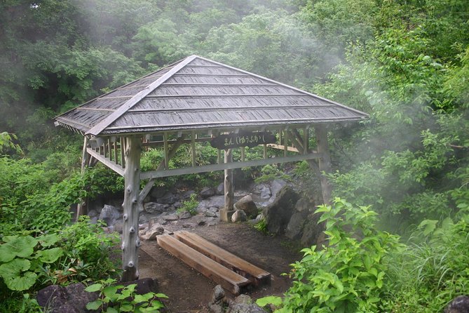 Half-Day Private Guided Japanese Hot Spring Experience - Inclusions