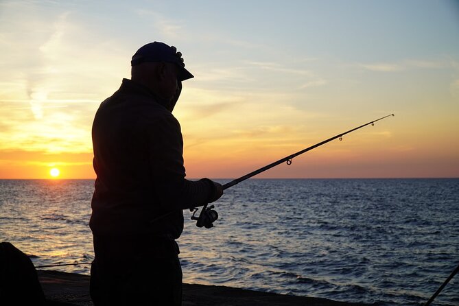 Half-Day Private Guided Nature of Florida’s Gulf Coast Eco Tour
