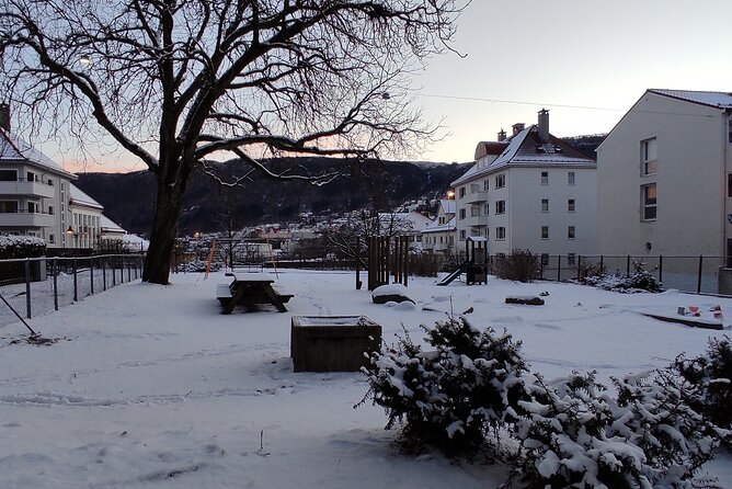 Half-Day Private Walking Tour in Bergen With Dinner and Funicular - Meeting Point Details