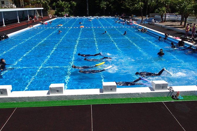 Half-Day Snorkeling Course Relieved at the Beginning Even in the Sea of Izu, Veteran Instructors Will Teach Kindly - Location and Meeting Details