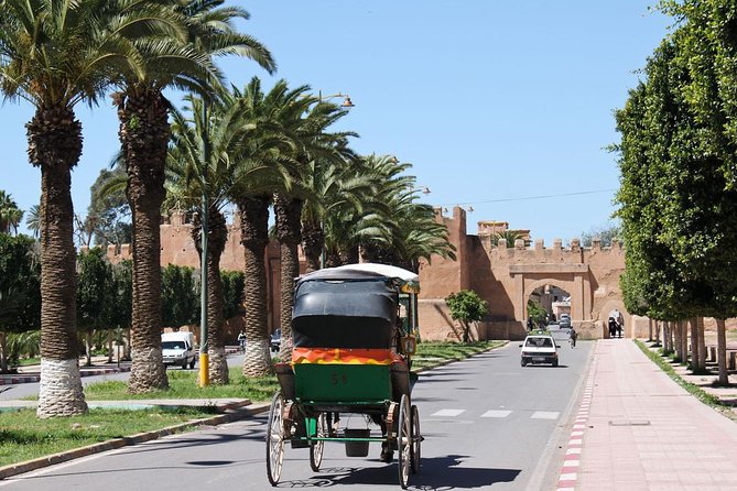 Half Day Tour : Agadir Goats in Argan Trees & Souk El Had Market - Inclusions and Accessibility