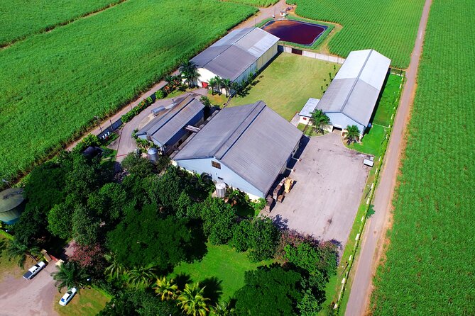 Half Day Tour in Worthy Park Rum Estate - Meeting and Pickup Details