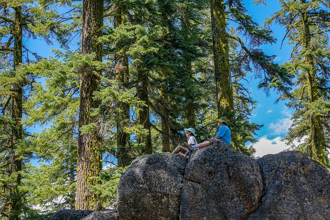 Half Day Tour to Faery Waterfalls, Castle Lake and Mount Shasta - Meeting Location and Directions