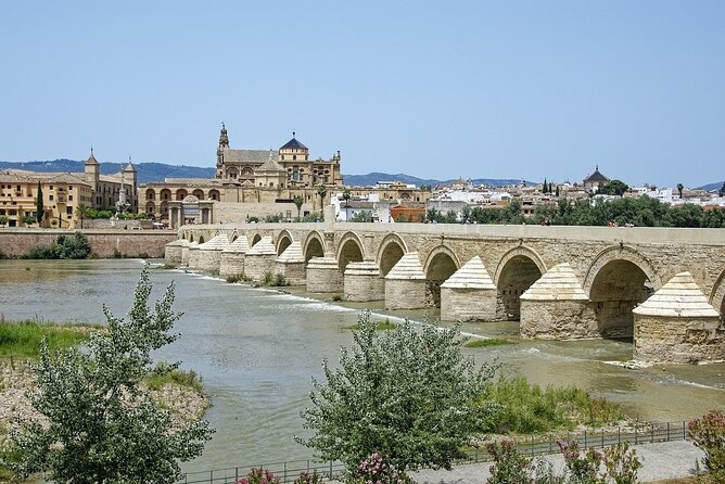 Half Day Tour to Mosque-Cathedral of Cordoba and Jewish Quarter - Tips for a Great Experience