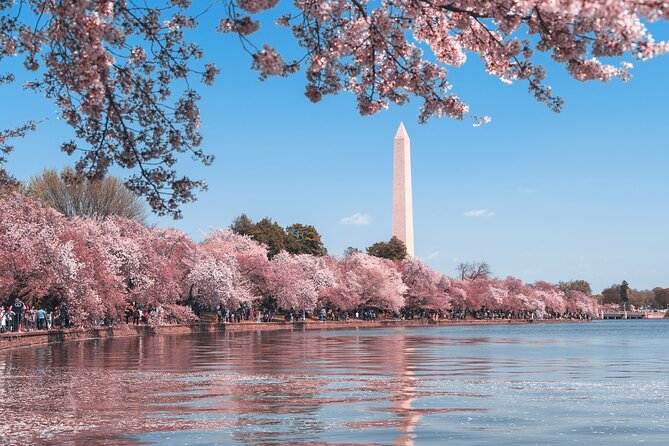 Half Day Washington City Tour With Pickup - Cancellation Policy
