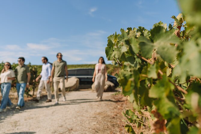 Half Day Wine Tour Around Evora - Meeting and Pickup