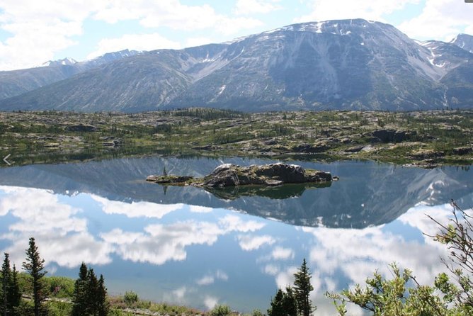 Half Day Yukon Suspension Bridge & Summit Tour - Meeting and Pickup