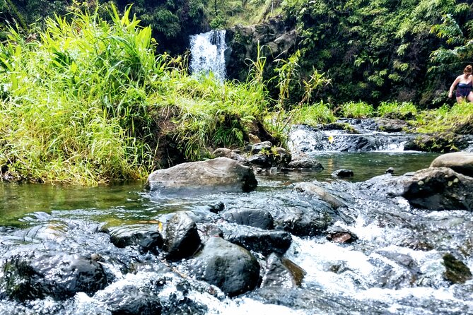 Halfway to Hana Private Tour Maui BlackBeach Waterfalls Turtles - The Keanae Peninsula Overlook