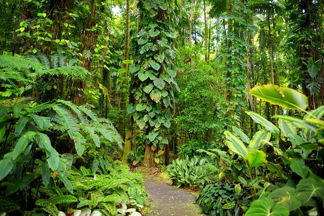 Halfway to Hana Tour Review: A Scenic Adventure - Scenic Stops and Highlights