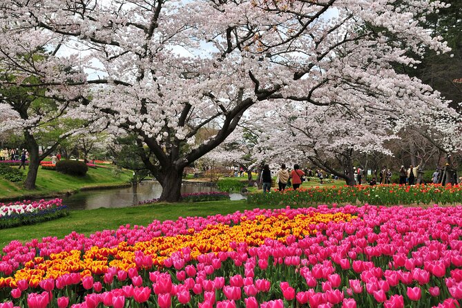 Hamamatsu Flower Park & Lake Hamana Private Tour With Public Bus - Inclusions
