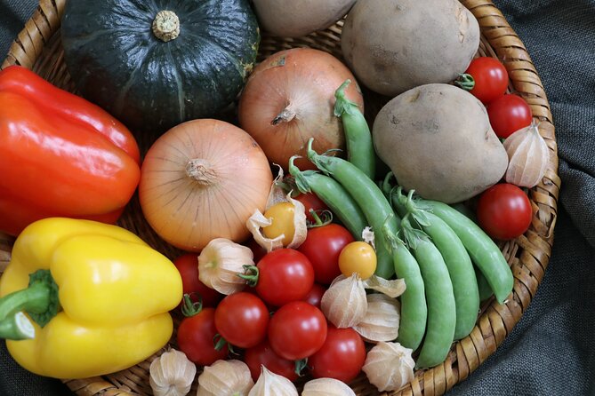 Harvest Experience in Akaigawa With Lunch Freshly Picked Veggies - Schedule and Itinerary