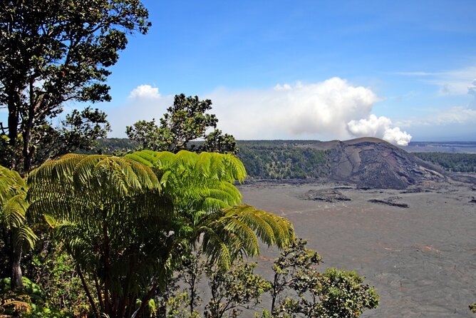 Hawaii Hilo Volcano Day Tour From Oahu Island and Pick-Up - Pickup and Meeting Information
