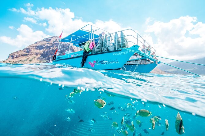 Hawaii Snorkeling With Turtles Boat Tour in Waikiki - Highlights of the Experience