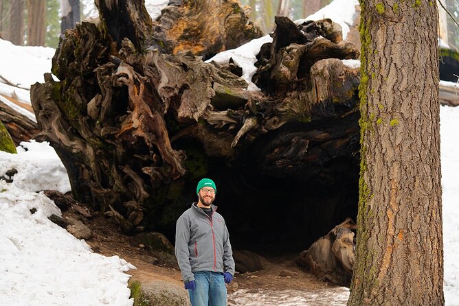 Heart of the Giant Forest Hike - Discovering the Diverse Wildlife