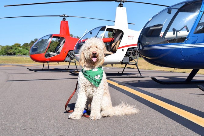 Helicopter Tour of Clearwater Beach Review - Transportation and Meeting Point Details