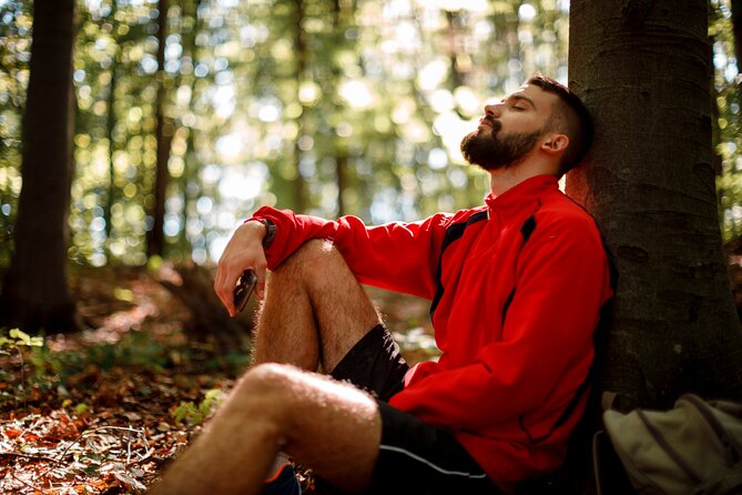 Helsinki Archipelago Forest Bathing Experience - Health and Accessibility