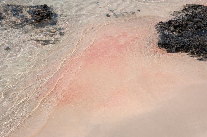 Heraklion: Elafonisi Beach: Discover the Pink Sand Paradise - Pricing and Booking Information