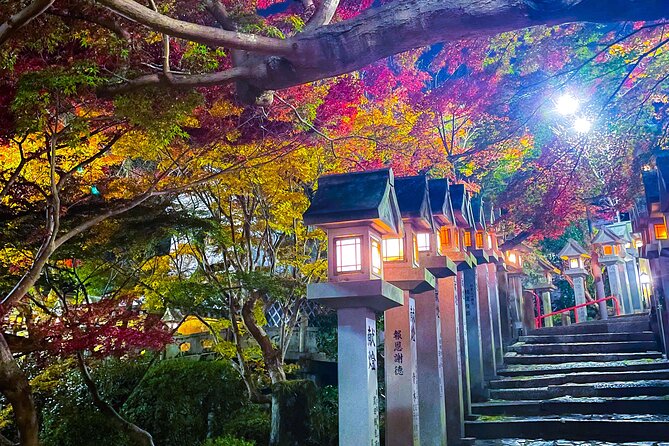 Hidden Gems of Osaka Kyoto Nara - Private Car Tour by Local Guide - Transportation and Logistics