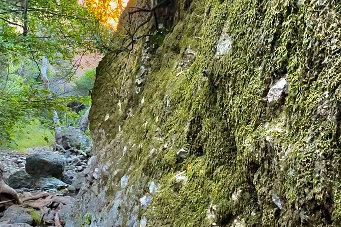Hidden Grotto & Waterfall Adventure Review - Electric Mountain Bike Experience