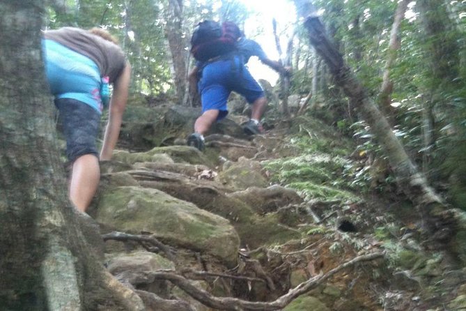 Hike Rope Ladders Miyazaki Japan - Inclusions and Amenities