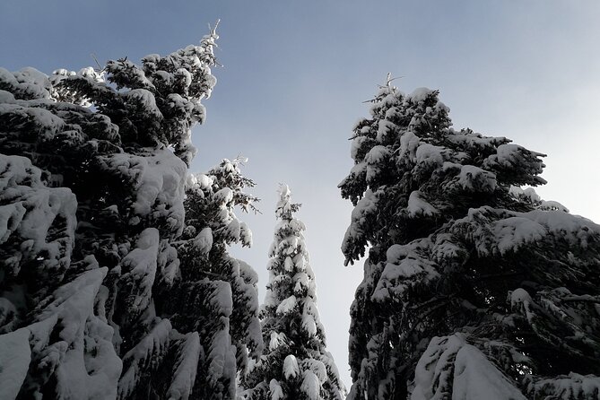 Hiking in Chamonix With a Guide - Snowshoe Adventure Features