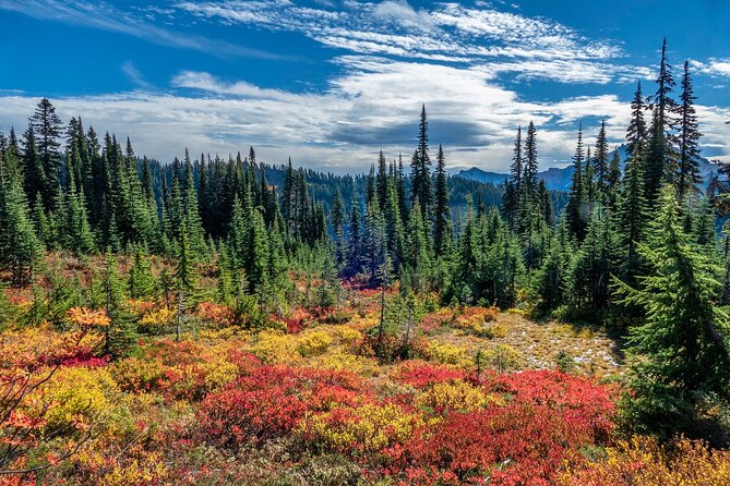 Hiking in Mount Rainier Private Tour From Seattle - Pricing and Whats Included