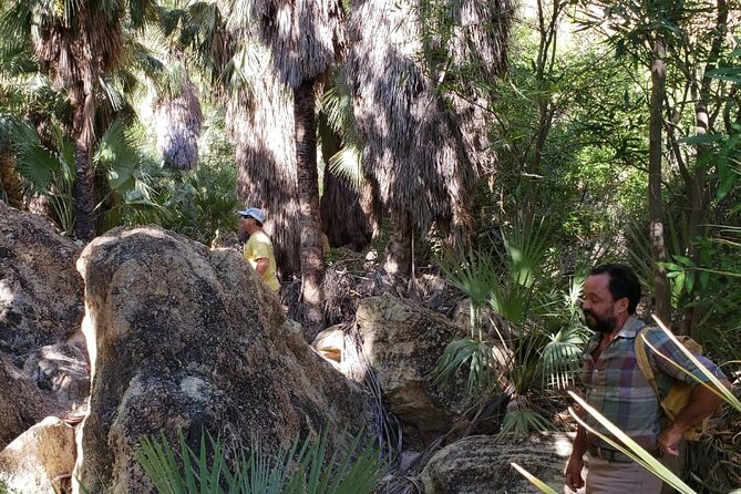 Hiking to Desert Palm Oases of San Carlos With a Biologist - Physical Requirements and Accessibility