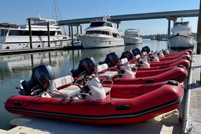 Hilton Head Guided Dolphin Watching & Sightseeing Tour via Mini Boat - Location and Meeting Information
