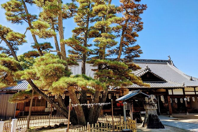 Hiroshima Highlights Private Day Tour - Discover the Spiritual Serenity of Miyajima Island