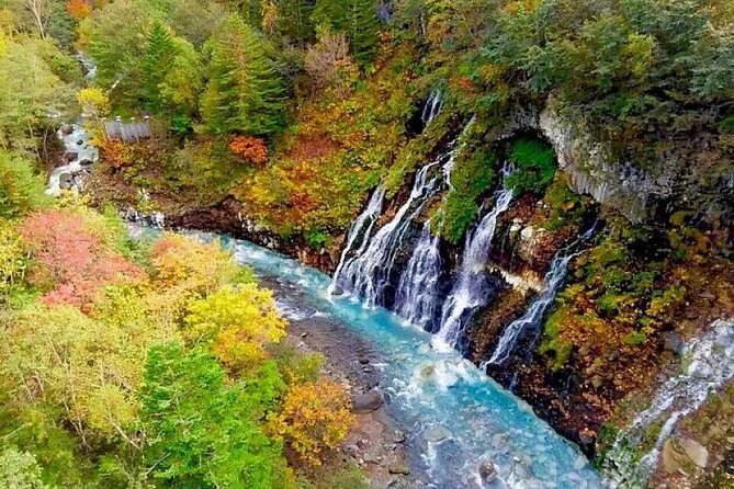 Hokkaido Day Tour From Sapporo: Asahiyama Zoo, Blue Pond Japan - Itinerary Highlights