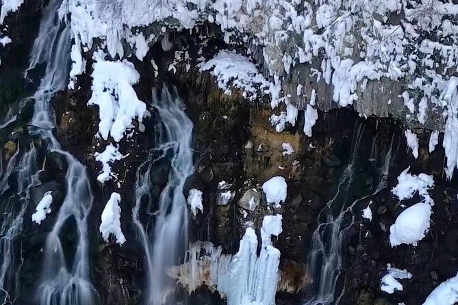 Hokkaido Furano and Biei Private Day Tour（Depart From Sapporo） - Booking Information