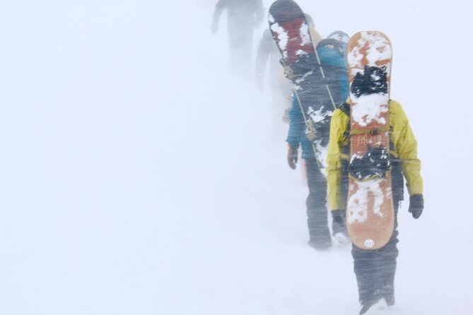 Hokkaido Niseko Ski Day Tour（Depart From Sapporo） - Inclusions
