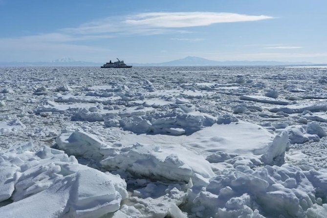 Hokkaidos Winter Awe-inspiring Drift Ice & Sounkyo Ice Sculpture! - Negative Review