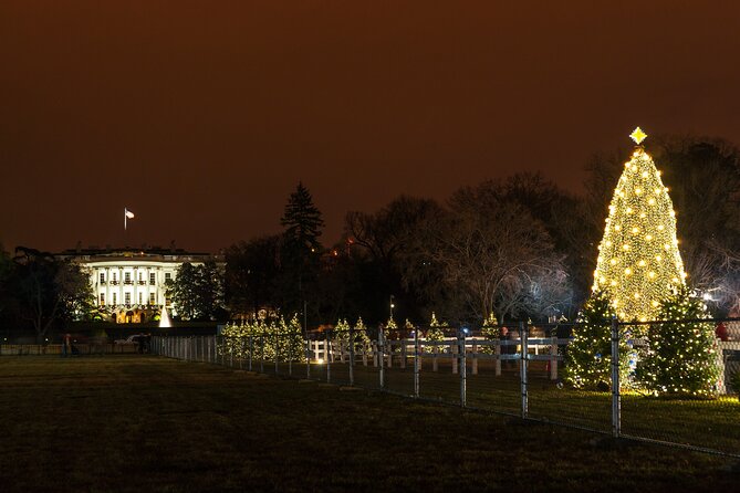 Holiday Lights Private Night Bus Tour Review - Accessibility and Participation