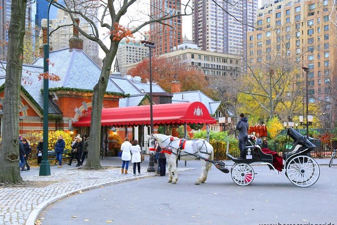 Horse Carriage Tour in New York Citys Central Park Small Loop - Meeting and Pickup Location