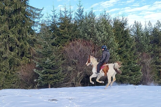 Horse Riding Day Trip in the Rila Mountain - Pricing Details