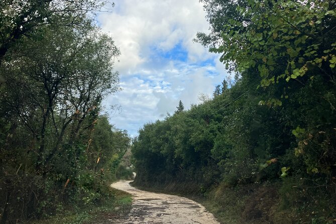 Horse Walking Tour in Forest - DESTINYcfu: Your Tour Operator