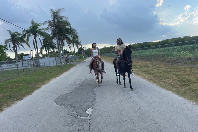 Horseback Experience in Miami - Location and Meeting Point