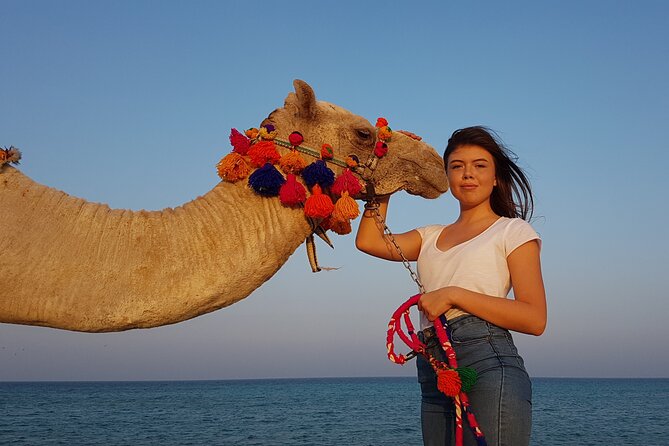 Horseback Or Camel Riding One Hour With Transfer - Sharm El Sheikh - Experience Highlights